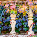 Photo of stone railing with vines and fall colors.