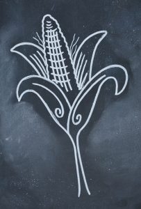 Illustration of corn.