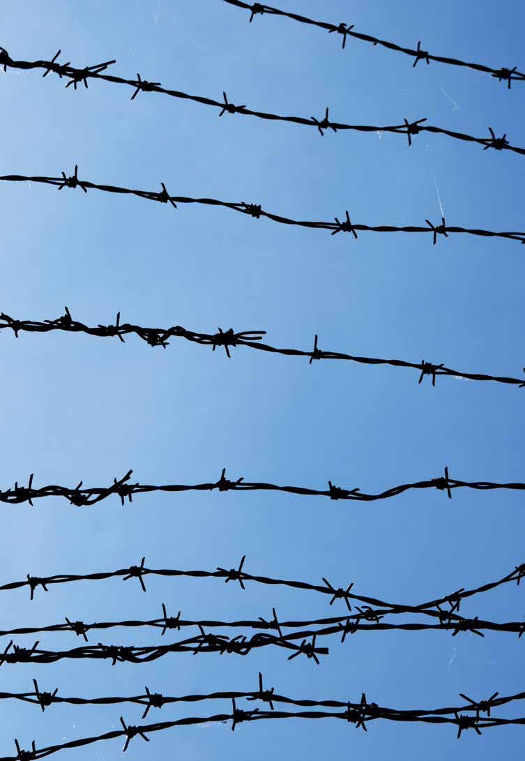 barbed wire