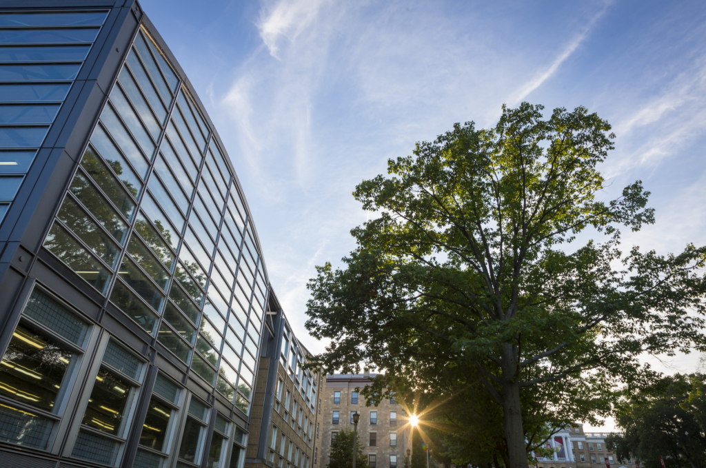 Law School