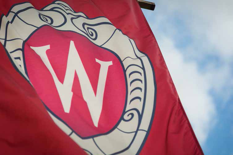 UW Flag