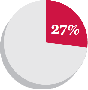 pie chart with 27%