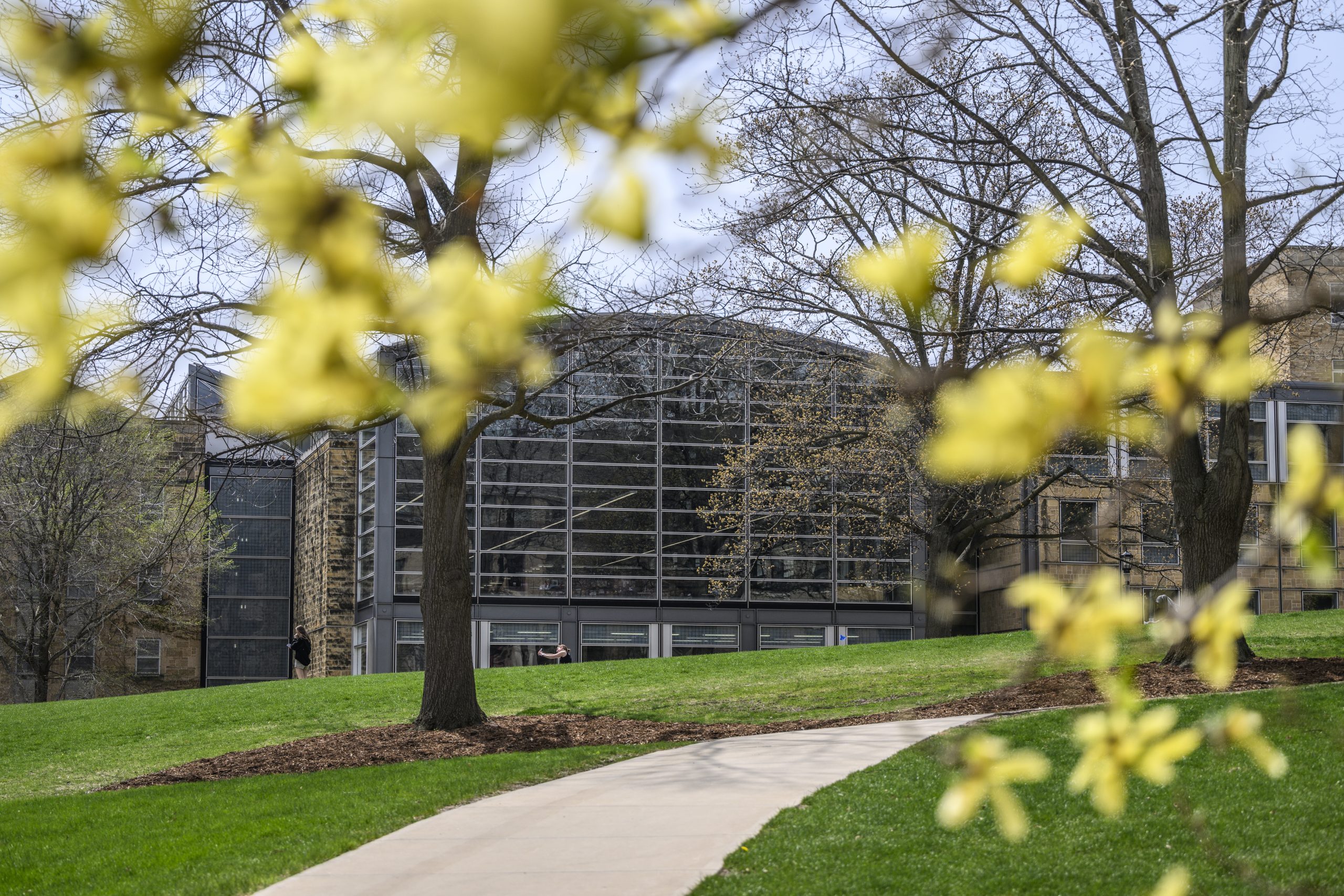 Photo - looking toward the arched roof of the Law Library from within branches of fall foliage on Bascom Hill.